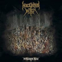NOCTURNAL WITCH NOCTURNAL WITCH