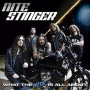 NITE STINGER NITE STINGER