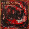 VOID KING VOID KING
