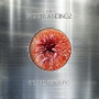 MOONLANDINGZ