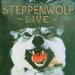 STEPPENWOLF