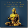 STEVENS CAT