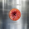 MOONLANDINGZ