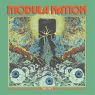 MODULA NATION