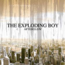 EXPLODING BOY