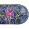 DANCE GAVIN DANCE