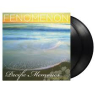 FENOMENON