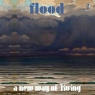 FLOOD FLOOD