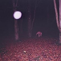 BUZZARD BUZZARD BUZZARD BUZZARD BUZZARD BUZZARD