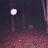 BUZZARD BUZZARD BUZZARD BUZZARD BUZZARD BUZZARD