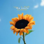 SNUTS SNUTS
