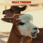 FINNIGAN KELLY FINNIGAN KELLY