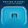 DEXTER WANSEL