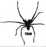 SPIDER TRIO SPIDER TRIO
