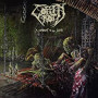 COFFIN ROT