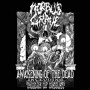 MORBUS GRAVE MORBUS GRAVE