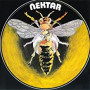 NEKTAR