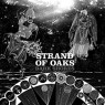 STRAND OF OAKS