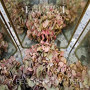 COLLECTION D'ARNELL-ANDREA