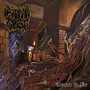 COFFIN CURSE