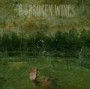 ON BROKEN WINGS ON BROKEN WINGS