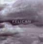 PELICAN