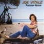 VITALE JOE VITALE JOE