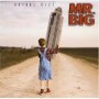 MR. BIG MR. BIG