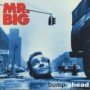 MR. BIG MR. BIG