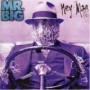 MR. BIG MR. BIG
