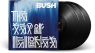 BUSH