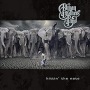 ALLMAN BROTHERS BAND ALLMAN BROTHERS BAND