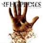 IF HOPEDIES IF HOPEDIES