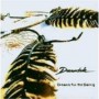 DREAMTIDE