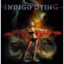 INDIGO DYING INDIGO DYING