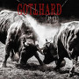 GOTTHARD GOTTHARD