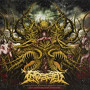 INGESTED INGESTED
