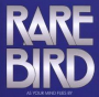 RARE BIRD