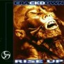 CRACKDOWN