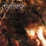 FLESHTIZED