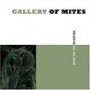 GALLERY OF MITES