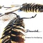 DREAMTIDE