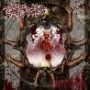 DEATH REALITY