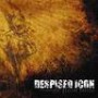 DESPISED ICON