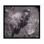 DEADFLY ENSEMBLE