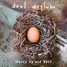 SOUL ASYLUM SOUL ASYLUM