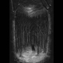 PAYSAGE D'HIVER PAYSAGE D'HIVER