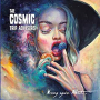COSMIC TRIP ADVISORS
