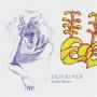 DESTROYER