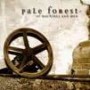 PALE FOREST